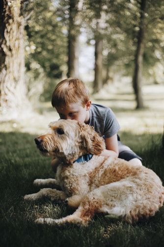dog